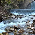 Anassa *